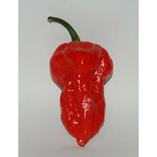 將圖片載入圖庫檢視器 561麻辣批發【561133】台灣產 印度魔鬼辣椒粉一台斤600g 印度鬼椒 斷魂辣椒 巧克力辣椒 批發