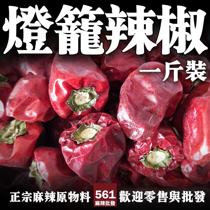 561批發-燈籠辣椒乾，圓潤飽滿果香突出，燉煮熬湯製醬專用辣椒