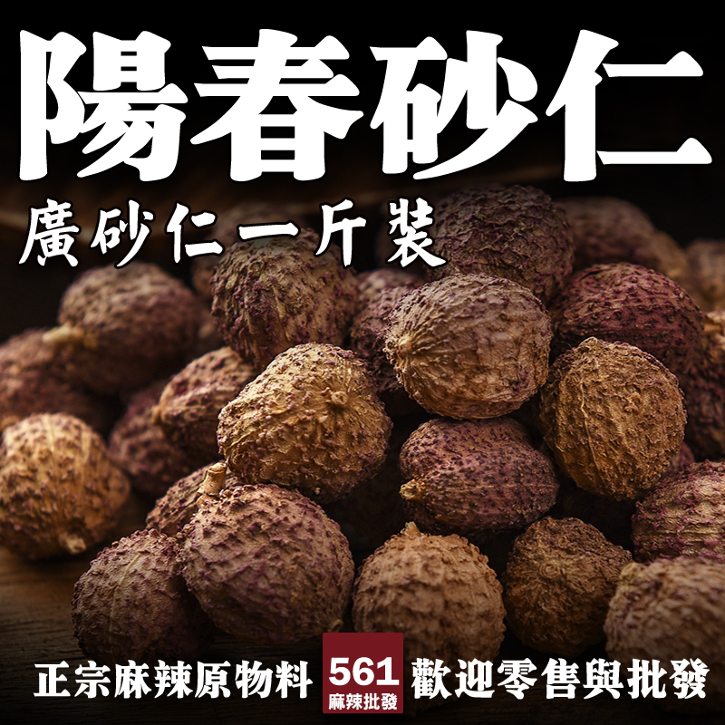 561砂仁批發-芳香健胃辛香甜潤，滷味藥膳火鍋高級配方香料